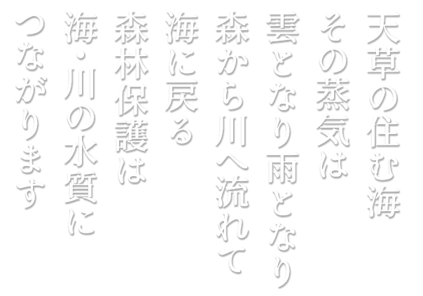 天草の住む海、その蒸気は雲となり雨となり森から川へ流れて海に戻る。森林保護は海・川の水質につながります